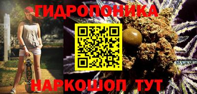 jwh Дубна