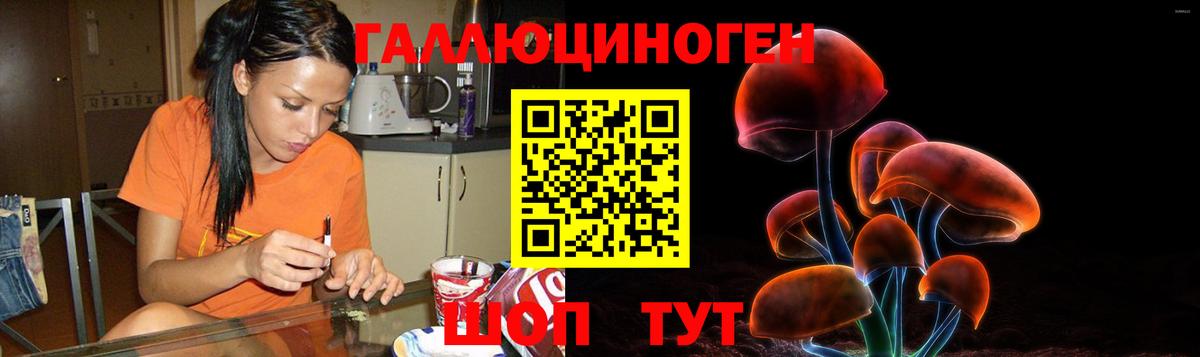 наркотики  Галлюциногенные грибы Cubensis  Вход с VPN  Краснотурьинск  Галлюциногенные грибы Cubensis 